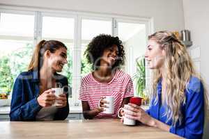 Young female friends talking while holding coffee mug