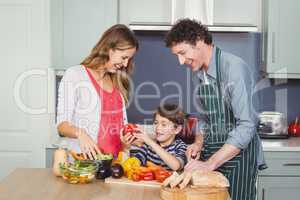 Smiling parents with son in kitchen