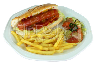 Hotdog and Fries on Plate