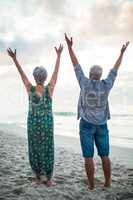 Senior couple raising their arms