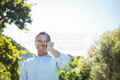 Casual mature businessman having a phone call