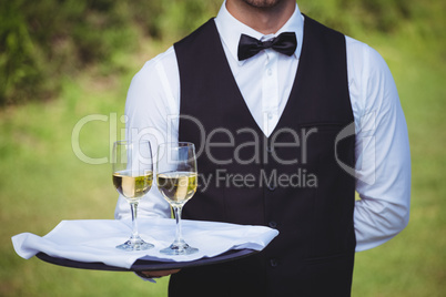 Handsome waiter holding a tray with two glasses of wine