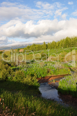 Landschaft bei Egilsstadir, Island