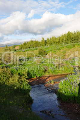 Landschaft bei Egilsstadir, Island