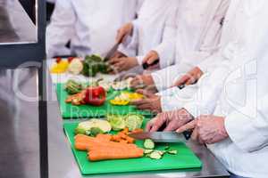 Close-up of chefs chopping vegetables