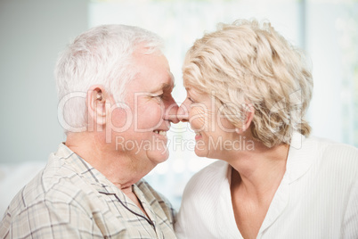 Happy senior couple touching nose