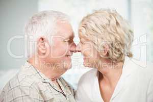 Happy senior couple touching nose