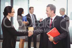 Businesswoman shaking hands with lawyer