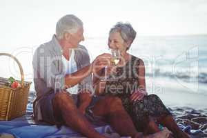 Senior couple having a picnic