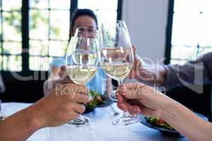 Friends toasting wine glass while having lunch