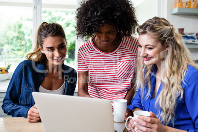 Female friends looking in laptop during breakfast
