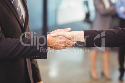 Businessmen shaking hands