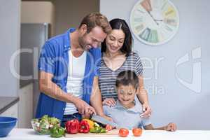 Happy family in the kitchen