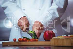 Chef slicing vegetables