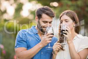 Couple drinking wine at park