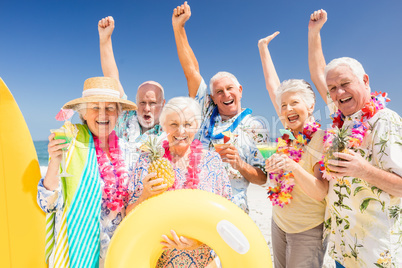 Senior friends drinking cocktails