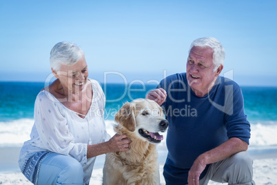 Cute mature couple petting their dog