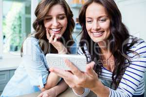 Cheerful female friends using mobile phone