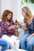 Female friends toasting beer while sitting on sofa