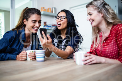 Happy young female friends using mobile phone