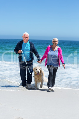 Cute mature couple walking their dog
