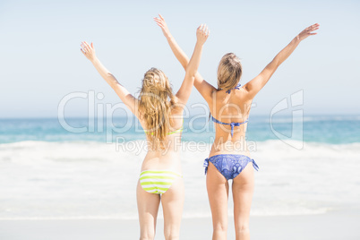 Excited rear women in bikini standing on the beach