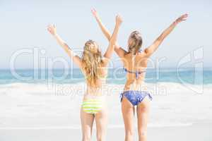 Excited rear women in bikini standing on the beach