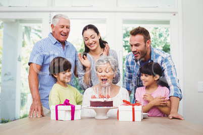 Smiling family during birthday party of granny