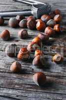 nutcracker with hazelnuts
