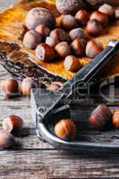 walnuts with hazelnuts