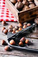 walnuts with hazelnuts