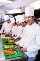 Team of chefs chopping vegetables