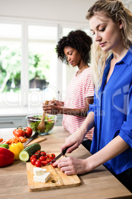 Young female friends preparing food