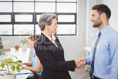 Businesswoman handshaking with male colleague
