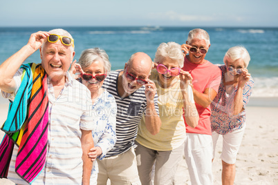 Portrait of senior friends at the beach