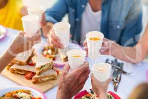 Family having a picnic and toasting