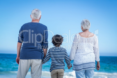 Cute boy holding his grandparents hands