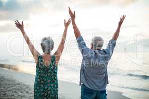 Senior couple raising their arms