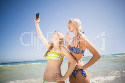 Two friends in bikini taking a selfie