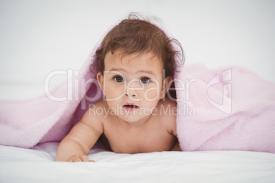 Portrait of cute baby lying under blanket