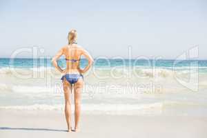 Rear view of woman in bikini standing on the beach