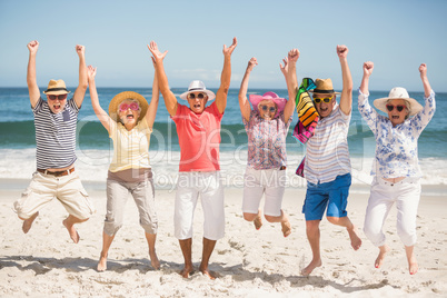 Portrait of senior friends at the beach