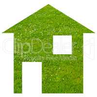 Grass house