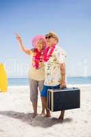 Senior couple holding suitcase