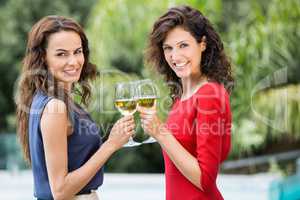 Portrait of smiling friends toasting white wine