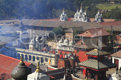 The Pashupatinath Temple