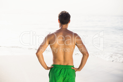 Rear view of man in swim shorts standing on beach