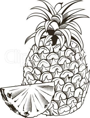 Pineapple in vintage style