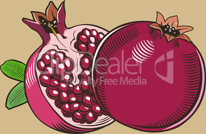 Pomegranates in vintage style.