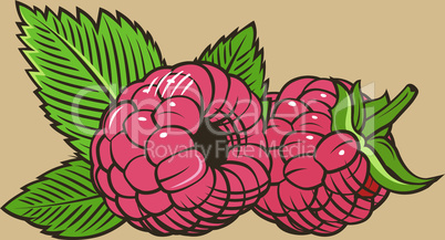 Raspberry in vintage style.